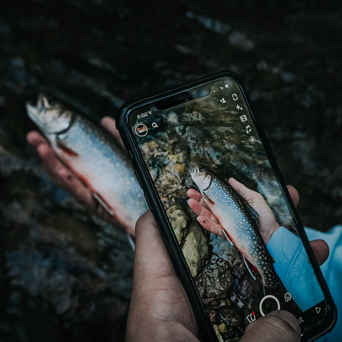 Fishing-Social holding phone taking picture of fish