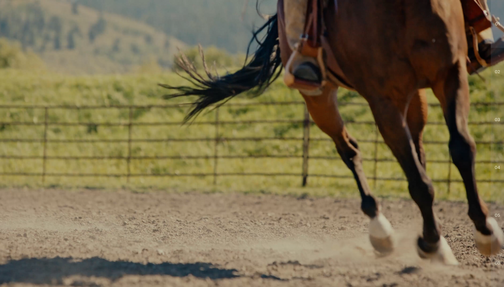 Madison Creek Outfitters