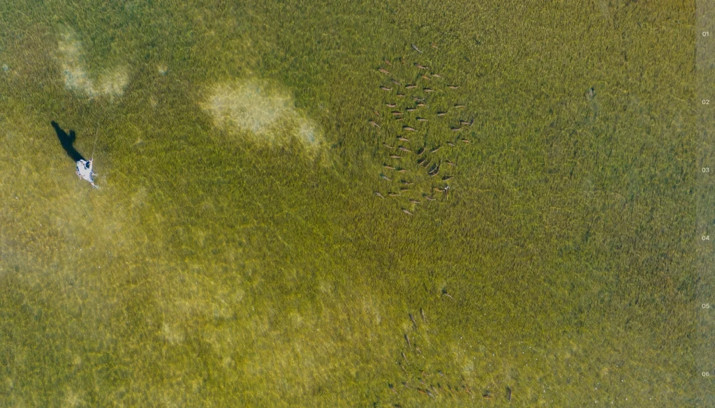 Drone view of fisherman