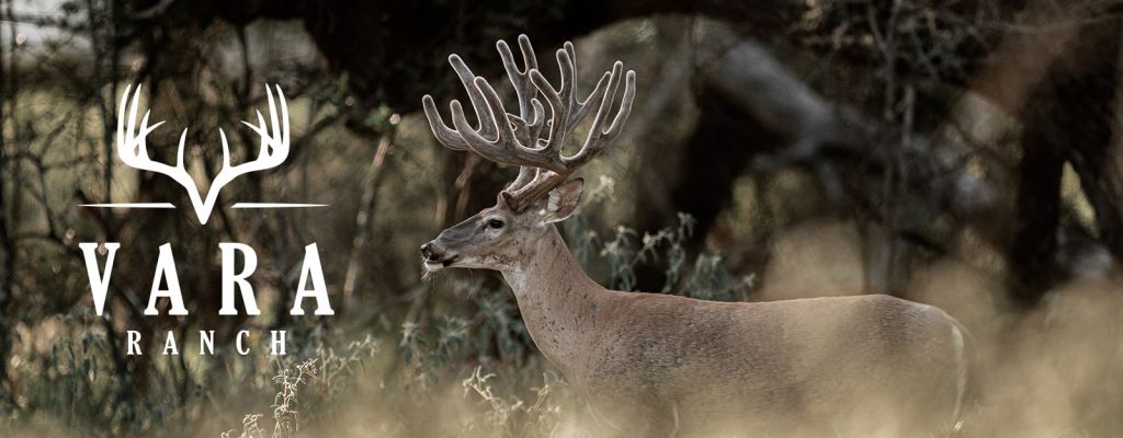 Vara Ranch header image.