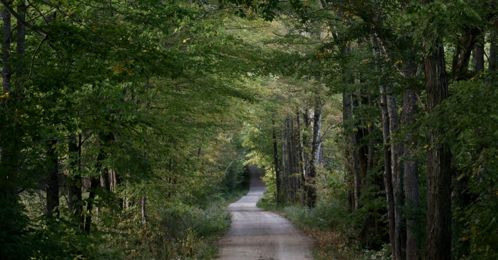 Dirt path in woods